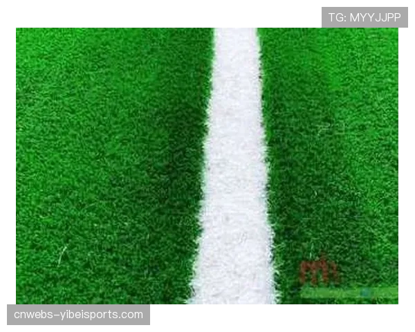 普鲁士公园球场启动草皮更换工程,新混合草皮旨在提升球速与球员急转急停表现 普鲁士公园球场启动草皮更换工程,新混合草皮旨在提升球速与球员急转急停表现